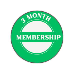 3 month subscription