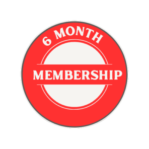 6 month subscription
